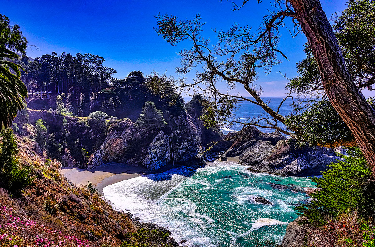 Julia Peiffer Nat. Park, CA