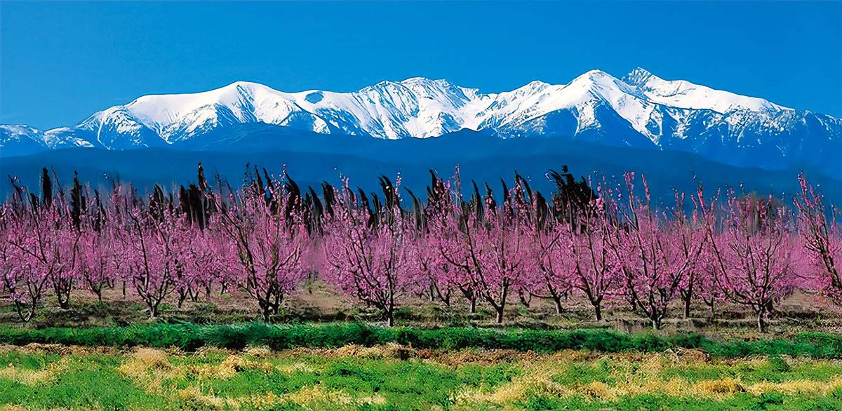 Mt. Canigou